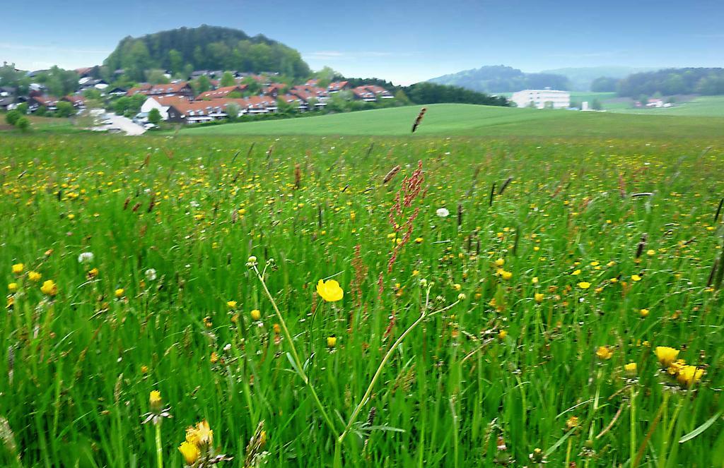 Ferienwohnung Gerda Zandt Exteriér fotografie